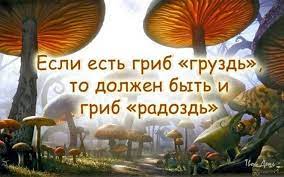 Еда - праздник, который всегда с тобой!