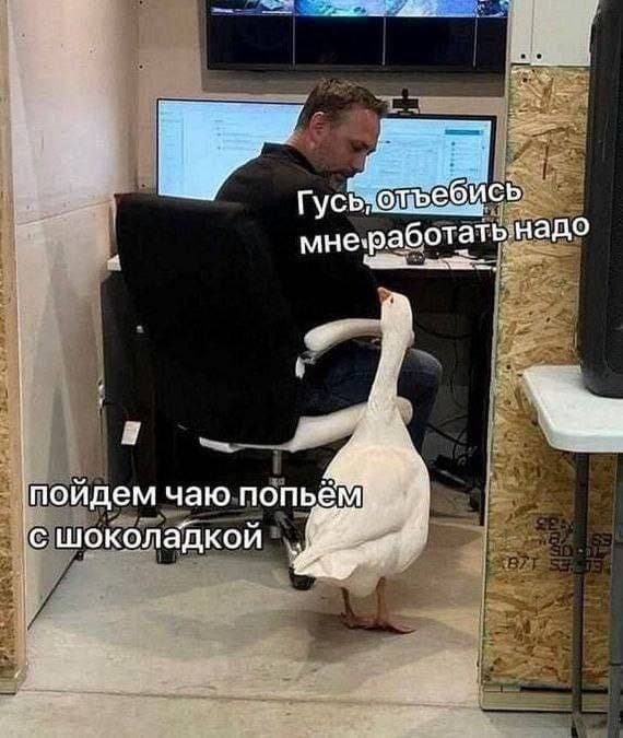 Народная меДИЧина 1006