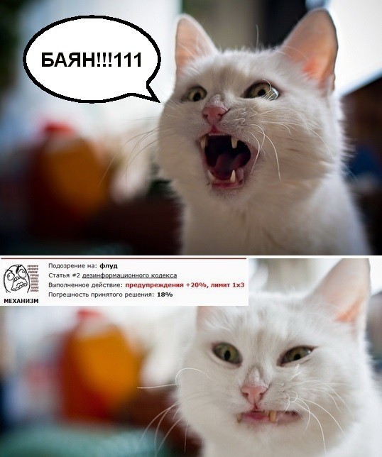 Если разобьётся, чтоб на меня ничего не говорили!