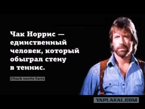 Вечер понедельник самое время подеградировать