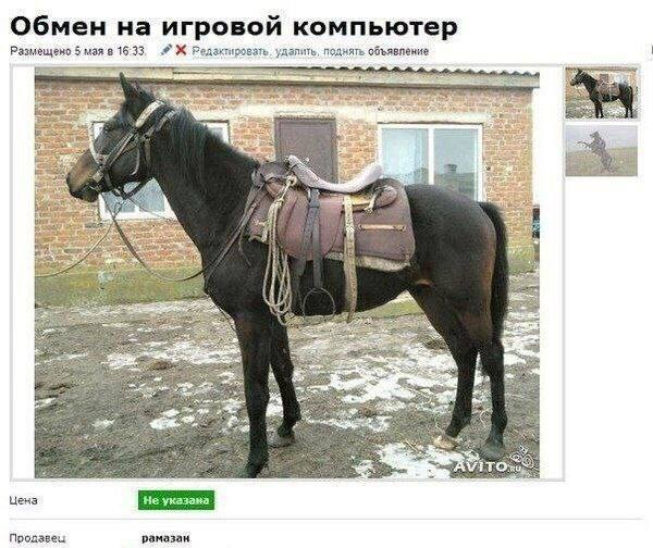 Всего понемногу. От 01.07.2024
