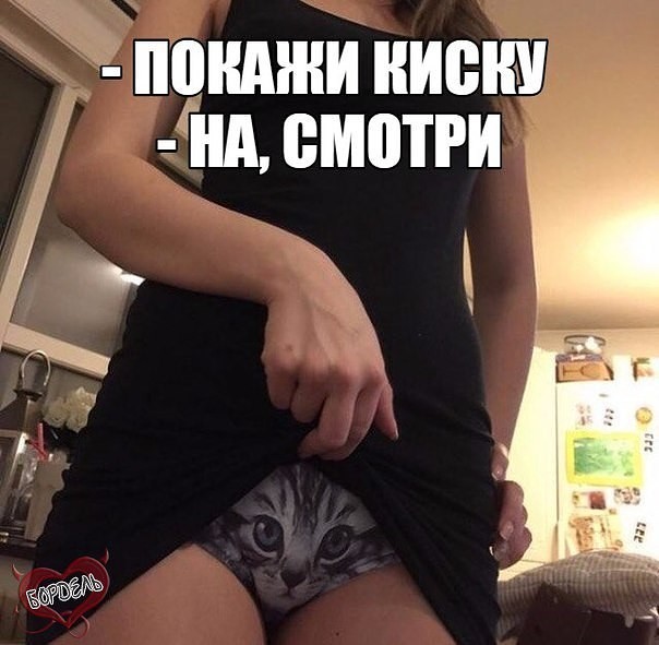 Блаженный кот