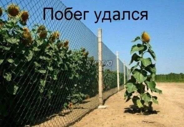 Маленькая пятница 11.03