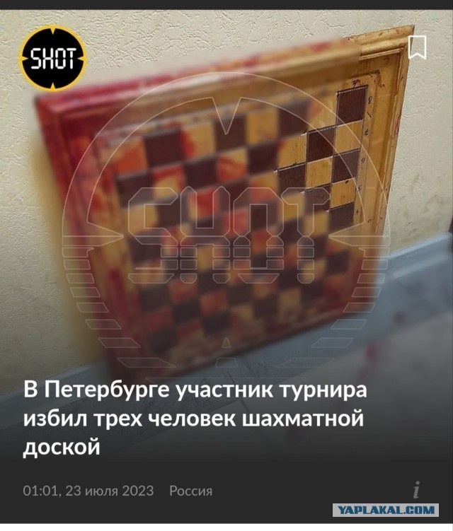Как бы выглядела драка шахматистов
