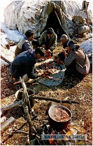 Север Камчатки