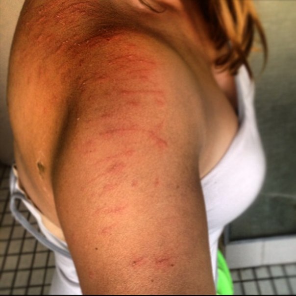 Как я попуганов размножала