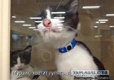 Позитивные картинки