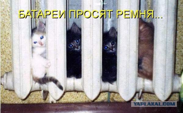 Когда ты маленький и тебе холодно