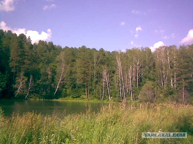 Мальдивы. Обратная сторона.