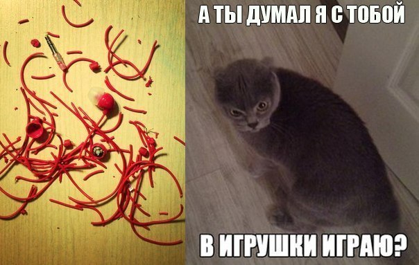 Позитивные картинки