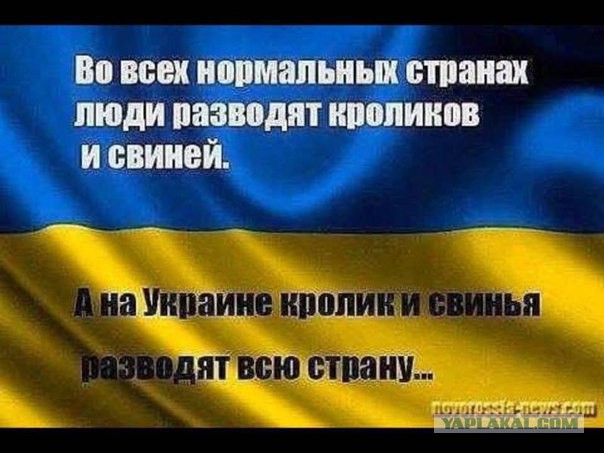 Банду геть! кричали они