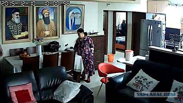 За что я люблю китайцев