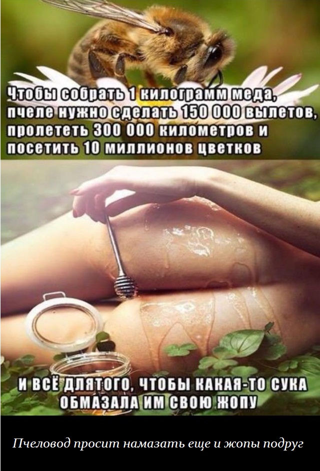 Подборка картинок на среду