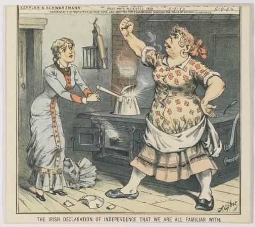 Ирландцы глазами англичан и американцев. Белые рабы забытые временем.