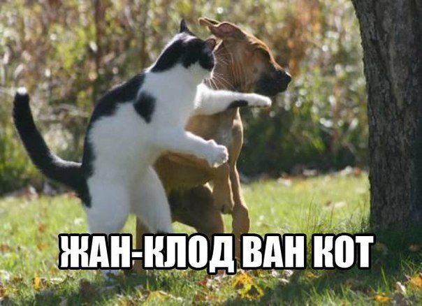 Всякие разные картинки