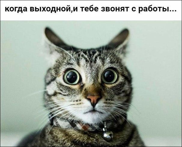 Пятничные ерундушки