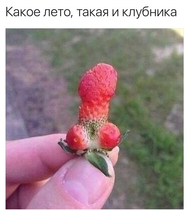 Подборка интересных и веселых картинок