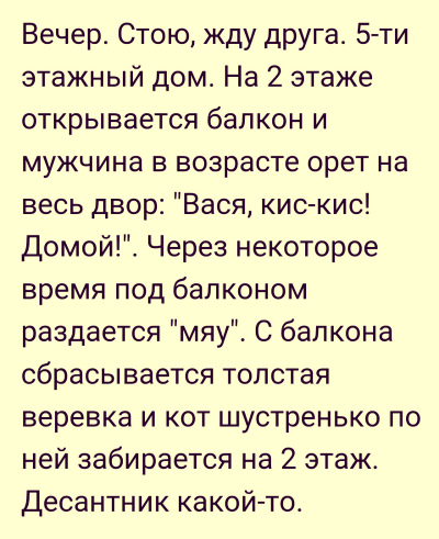 Везу тёщу на дачу. Она спереди, сзади едет сын 10-ти лет...