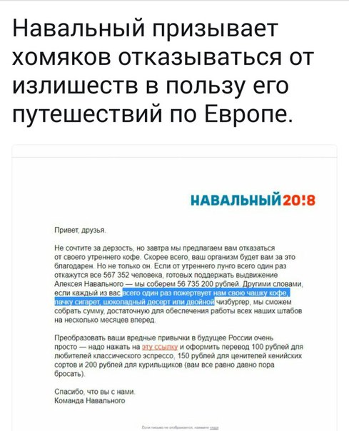 Молодая гвардия “Единой России” и фальшивые соцопросы