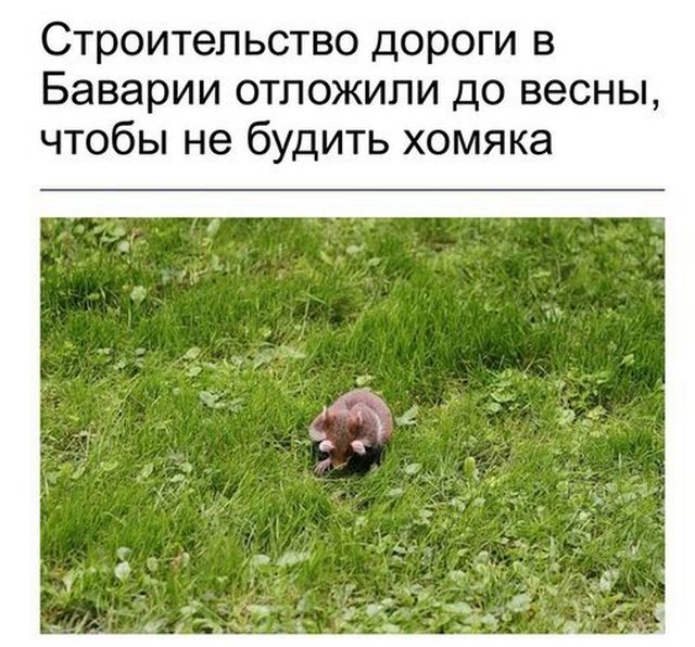 Просто солянка из картинок.