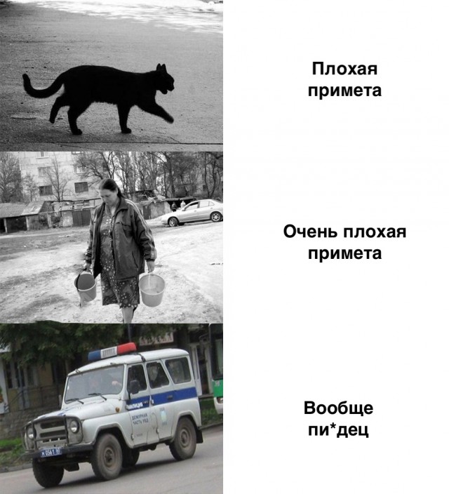 Подборка интересных и веселых картинок