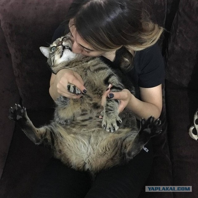 Одиночество мужчин