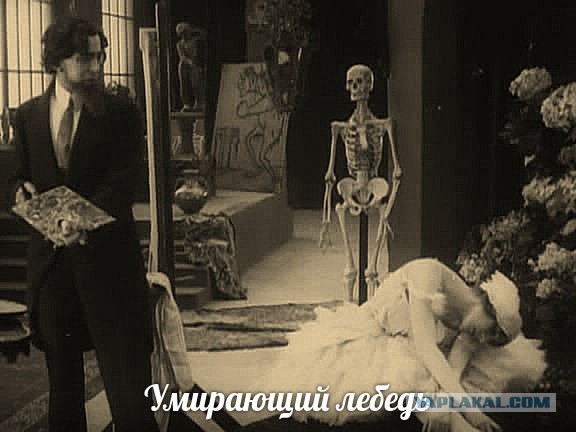Умер Репин, и некому написать картину «Алана Мамаева с подругами в суде»