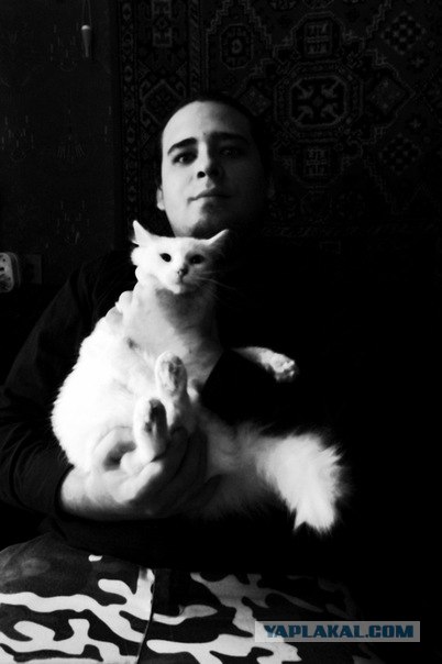 Котовторник 17.04.2012