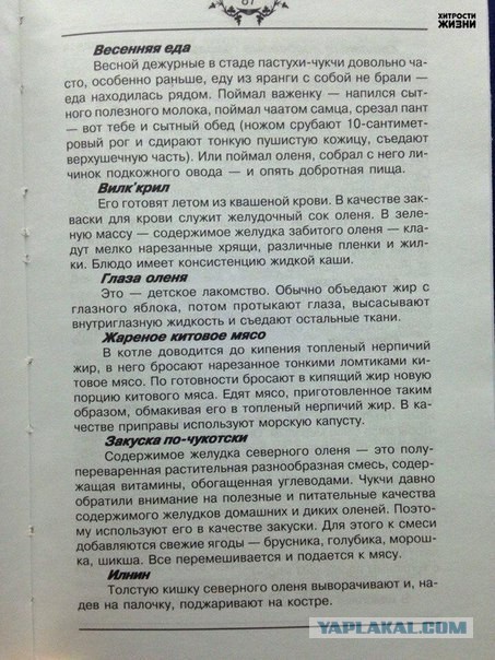 Некоторые национальные блюда жителей Севера
