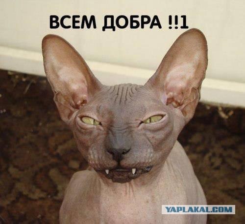 Друзья