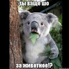 Ещё кто-то так делает или я один такой?
