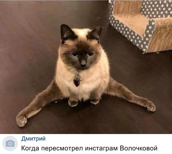 Забавные шутки, картинки и фразы из этих ваших интернетов