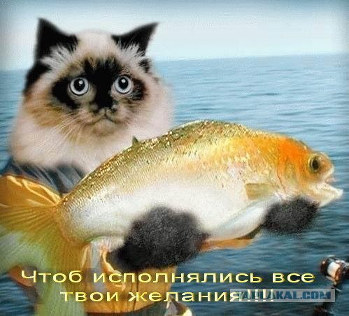 7  лет сайту ЯПлакалъ!
