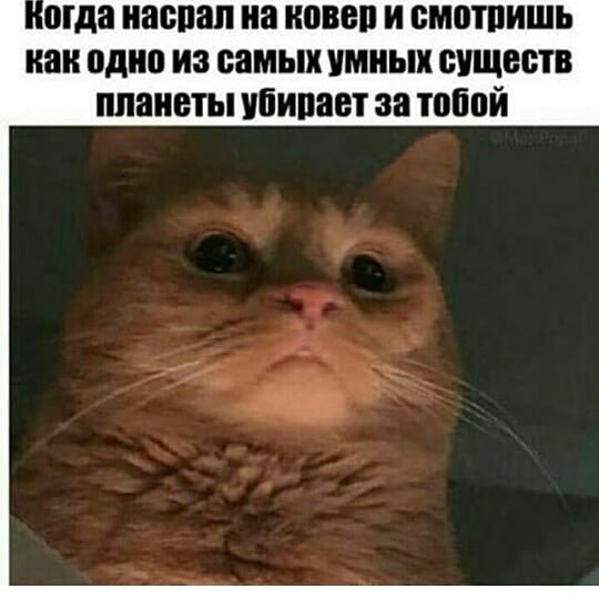 Алименты в случае, если женщина вышла замуж