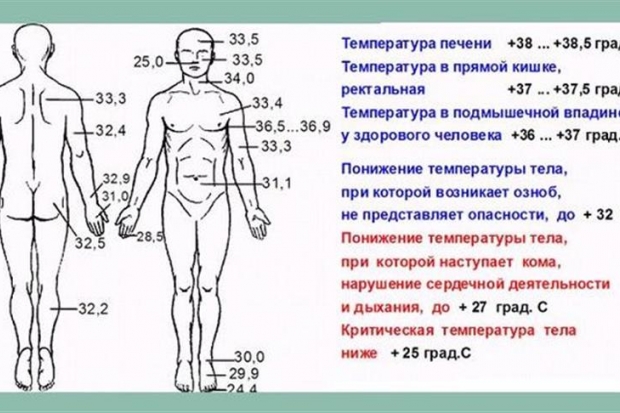 Пандемия. Коронавирус. Россия и мир. Последняя информация. Часть 11