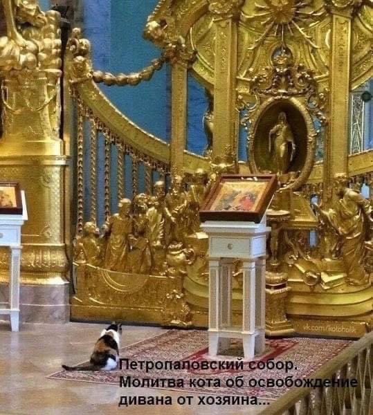 Бредзона 24.04.2020