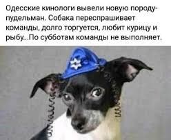 Женская измена