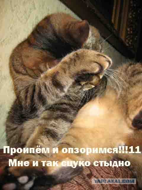Фотожаба: Символы Олимпиады 2008