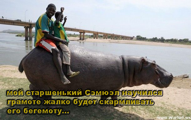 Простое человеческое счастье в картинках