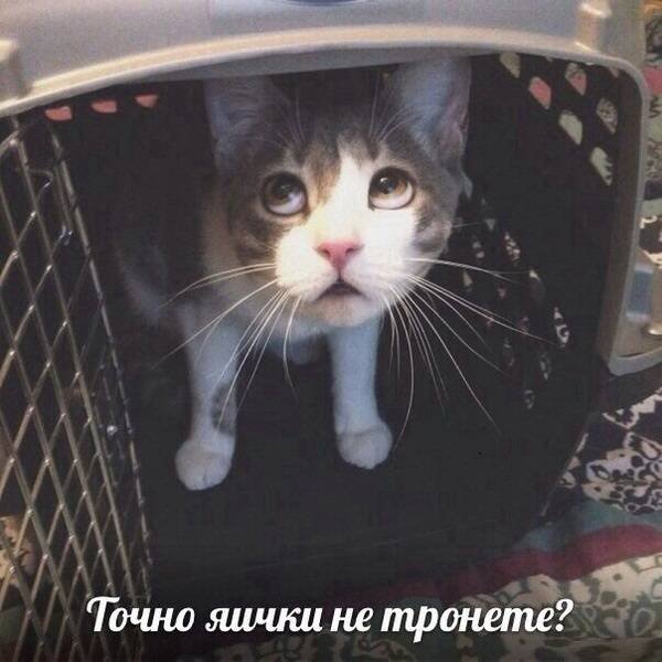 Бредзона 17.07.2020