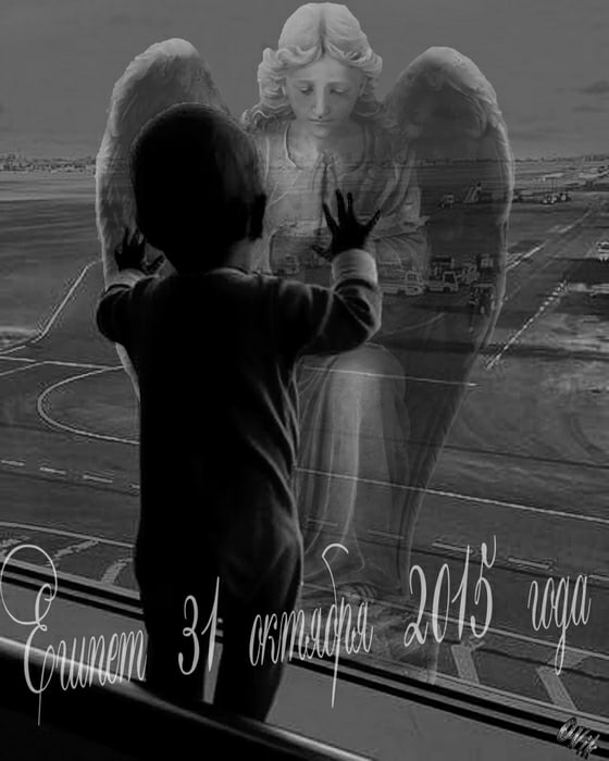 5-я годовщина трагедии рейса 7К9268 над Синаем