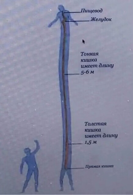 Бредзона 1.11.20