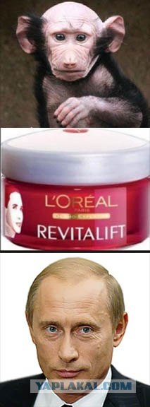 Фотожаба: L'Oreal разгладит все морщины
