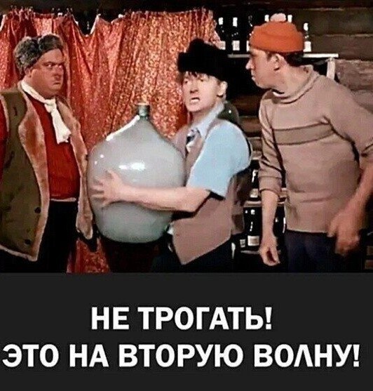 Борьба России с коронавирусом запахла безумием
