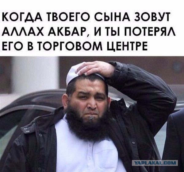 Алло, Аллочка, тут полная бесовщина и деградация!