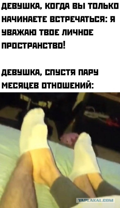 Весёлый полтишок 31.03