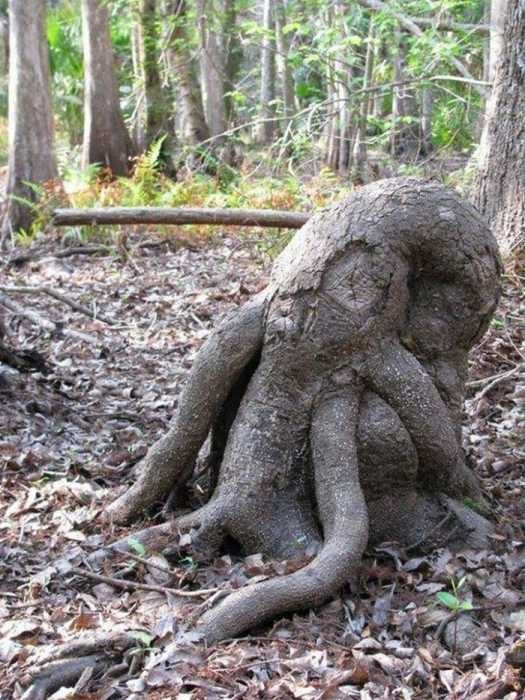 Картинки к пьятнице