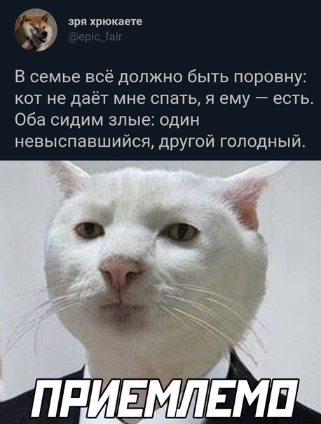 Картинки и мемы для настроения 09.06.2021