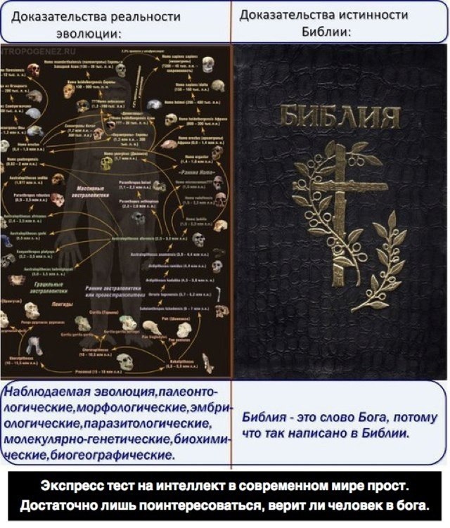 Слава богу, я безбожник #3