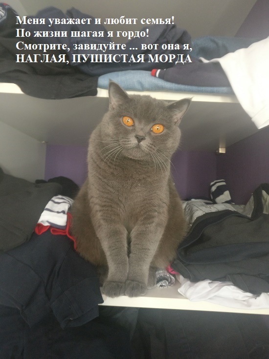 Мой самый первый КОТовторник!